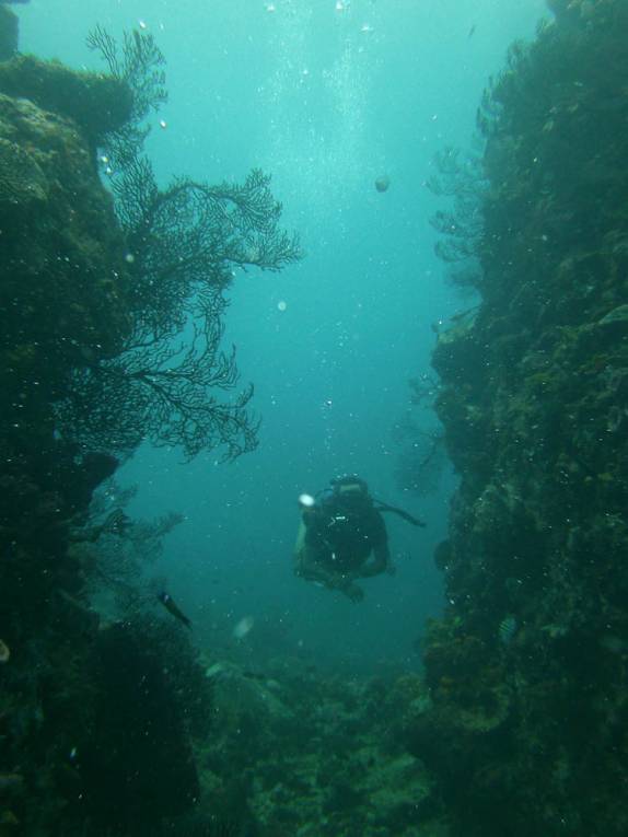 Explorando um pequeno canyon entre dois pináculos em mergulho em  Soufriere, sul de Santa Lúcia, no Caribe